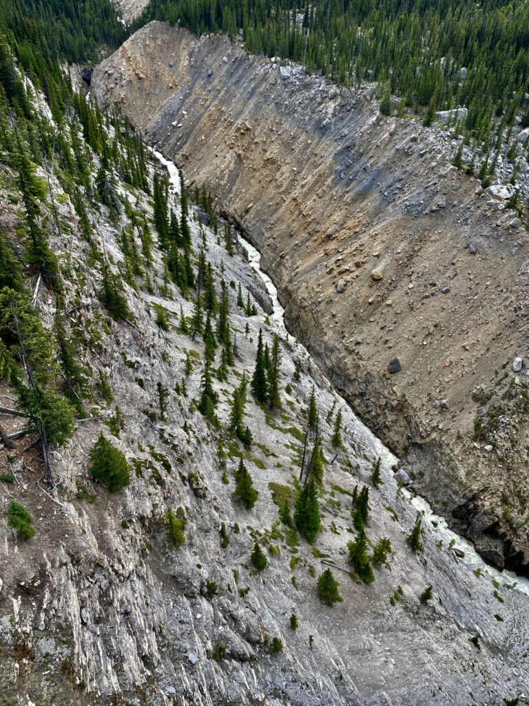 Aerial view of a deep rocky canyon with stratified cliff faces, sparse coniferous trees clinging to the slopes, and a narrow stream visible at the bottom