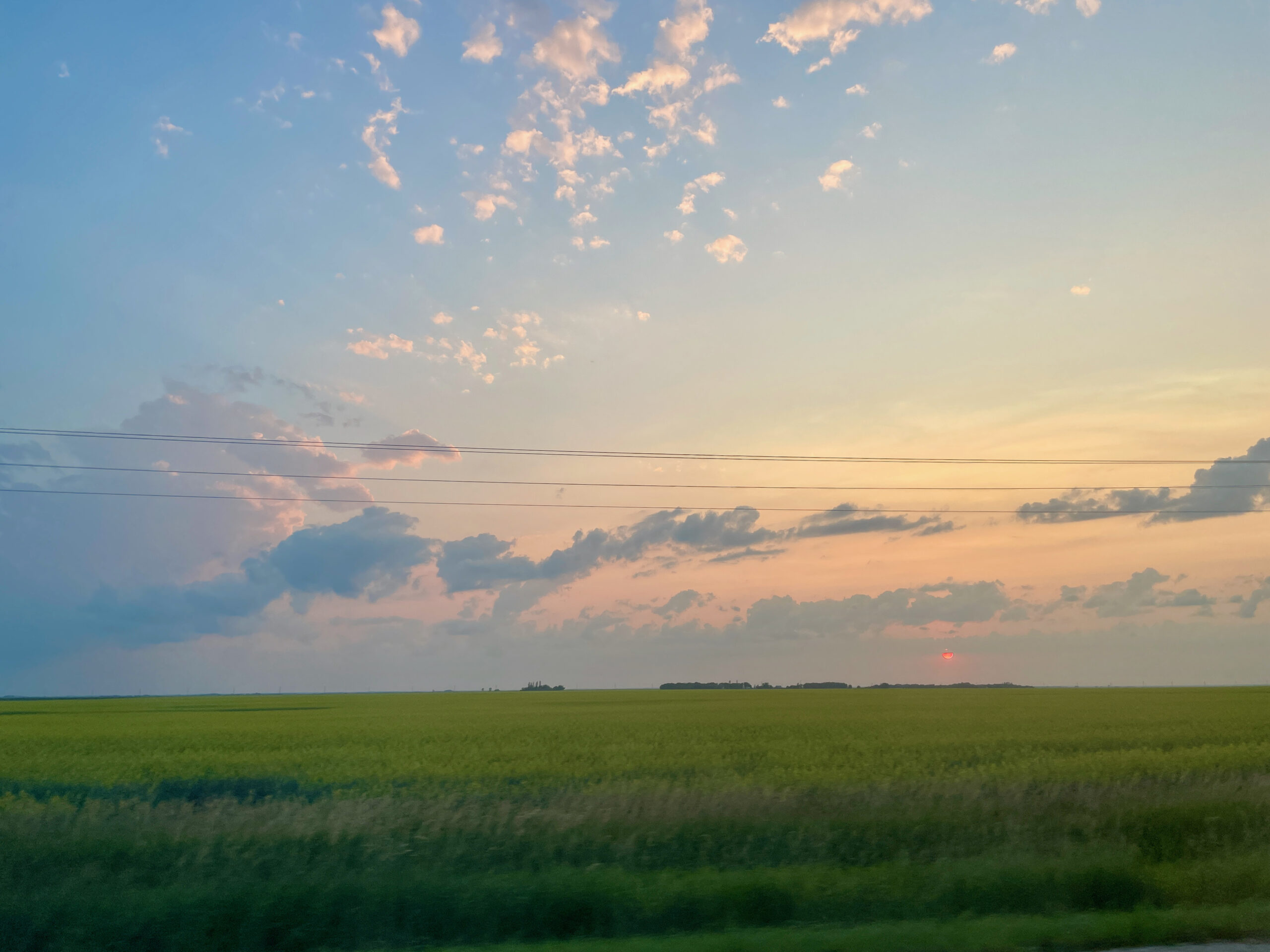 Sunset over a flat agricultural field with green crops in the foreground, power lines crossing the horizon, and clouds illuminated in shades of pink and gold against a blue sky