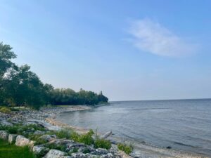 Rocky shoreline with trees and calm water under blue sky
