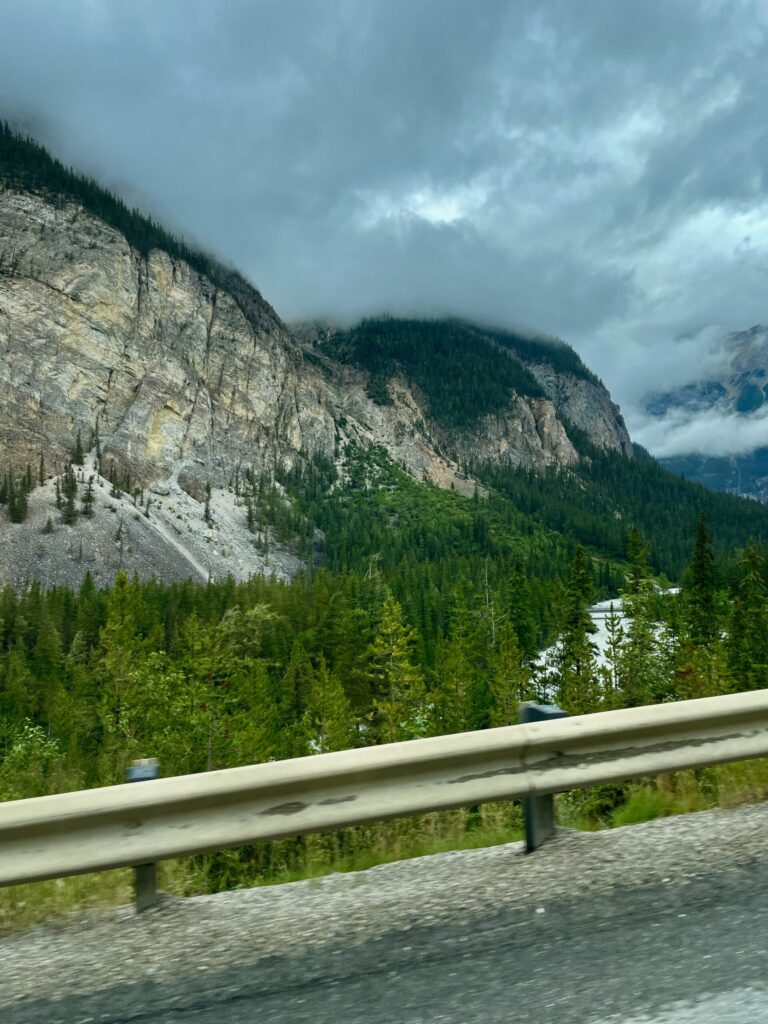 Rocky mountain valley with coniferous forest, a stream, and dramatic cloudy sky, viewed from a highway guardrail