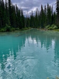 Turquoise river flowing through a dense coniferous forest with tall evergreen trees lining both banks under a cloudy sky