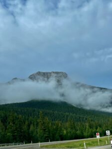 Mountain peak partially shrouded in mist and clouds, with dense coniferous forest at its base and a highway with speed limit signs in the foreground
