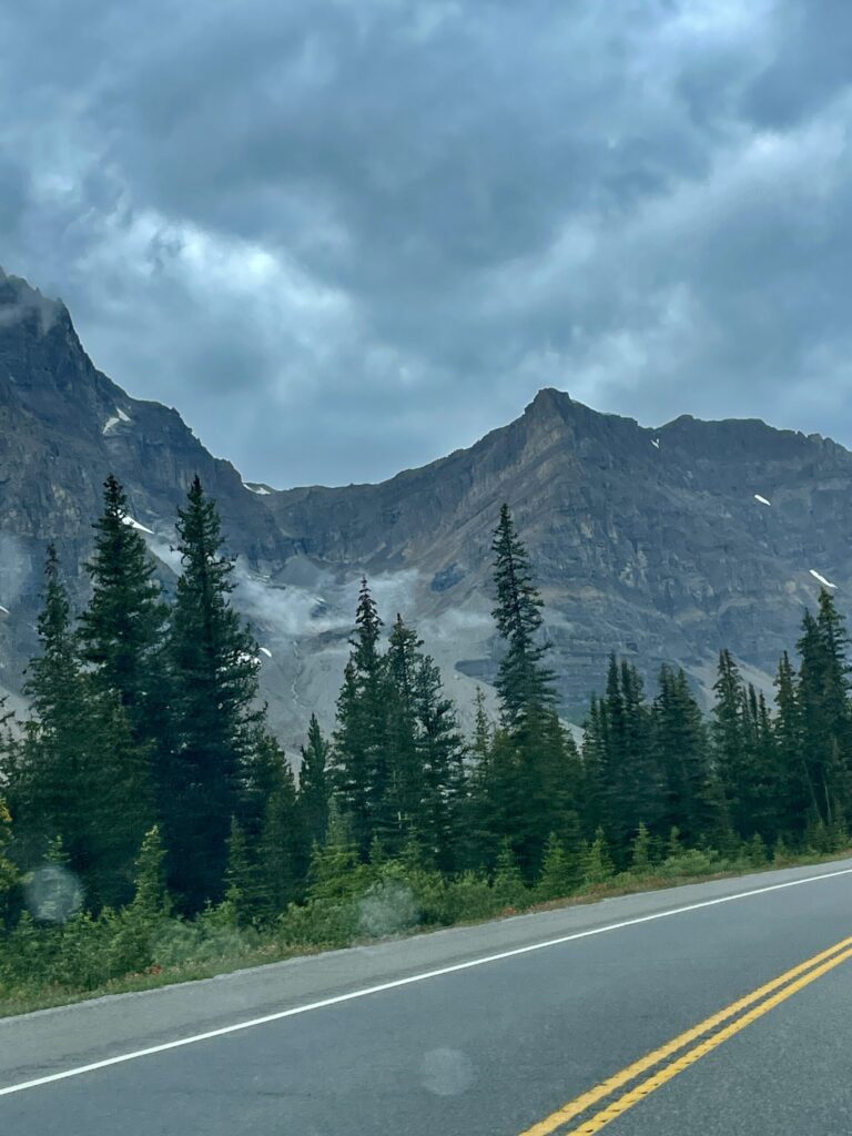 Mountain landscape with coniferous forest and rocky peaks under cloudy sky, viewed from a highway with yellow centre line markings