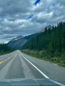 Straight highway stretching toward snow-capped mountains, lined with coniferous forest under a cloudy sky