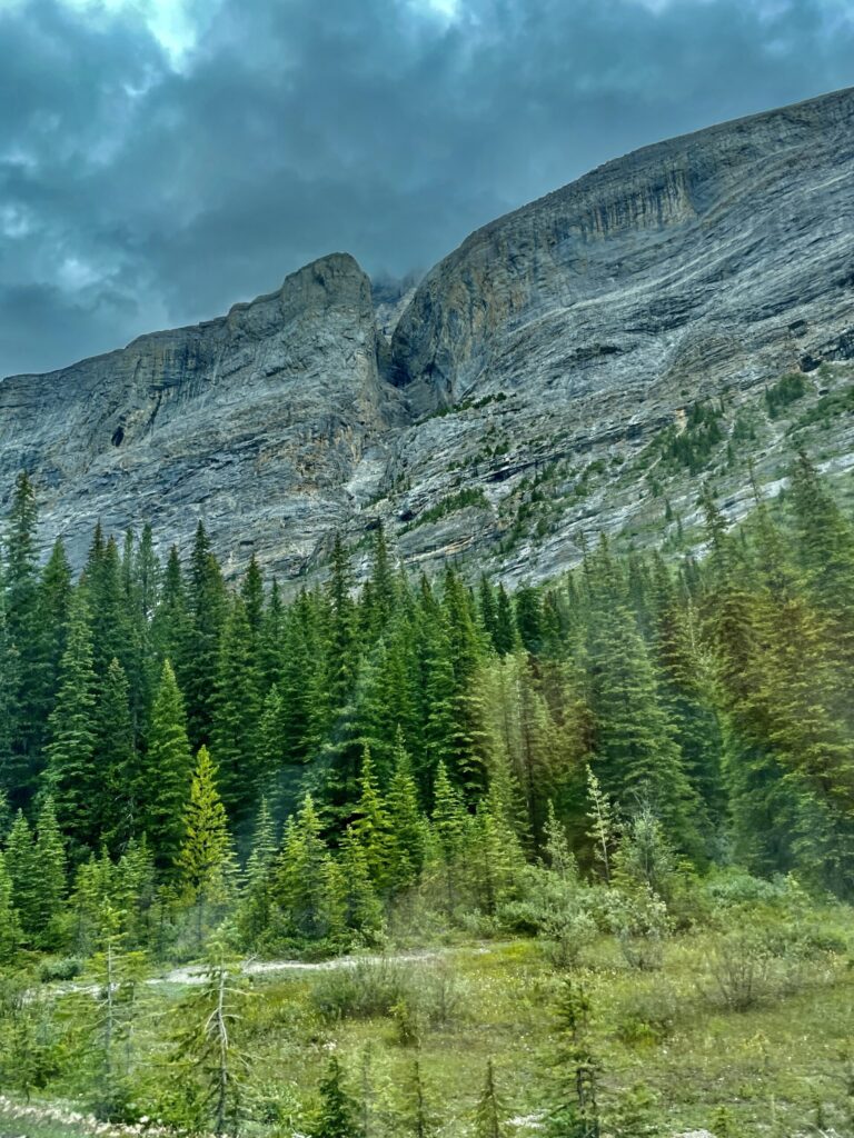 Icefields parkway 034