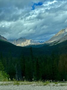 Icefields parkway 039