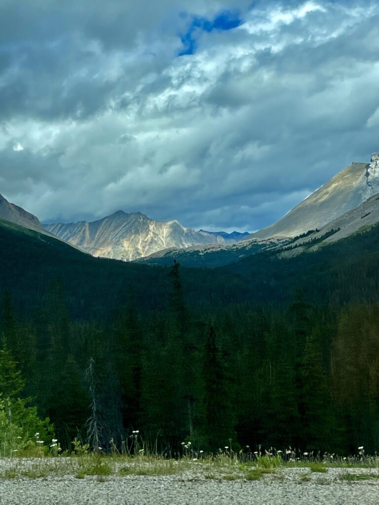 Icefields parkway 039