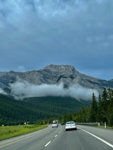 Highway stretching toward a dramatic mountain peak partially shrouded in mist, with dense coniferous forest and vehicles on the road
