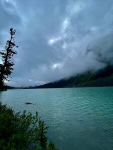 Turquoise alpine lake surrounded by coniferous forest and mountains under stormy clouds, with a gnarled tree on the left shore