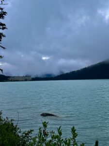 A turquoise alpine lake with a large hotel nestled against forested mountains under a cloudy sky, evergreen shrubs in the foreground