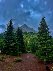 Hiking trail through coniferous forest with mountain peak in the distance under a cloudy sky