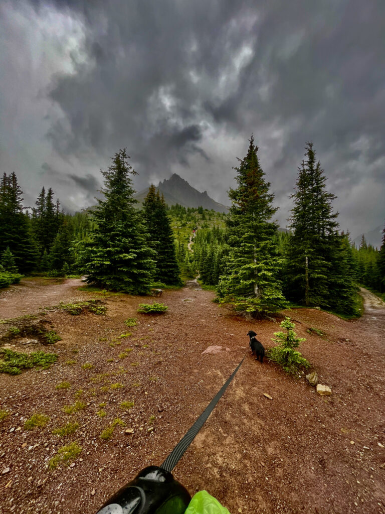 A hiker with a dog on a leash walks along a trail through a coniferous forest with a jagged mountain peak visible in the distance under stormy grey skies