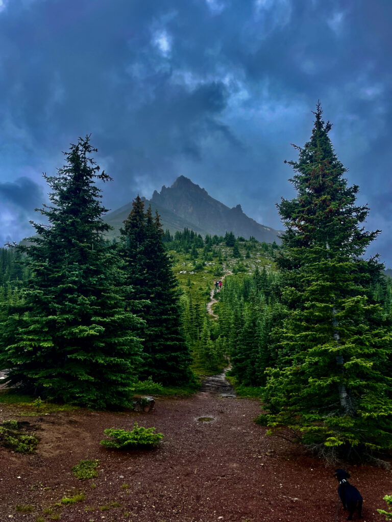 Hiking trail through coniferous forest with distant mountain peak under cloudy sky, hikers visible on the path ahead