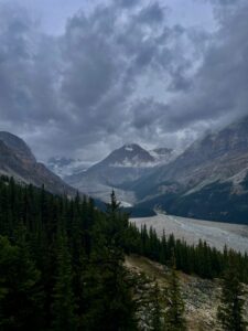 Alpine valley with coniferous forest, glacial river, and snow-capped peaks beneath stormy clouds