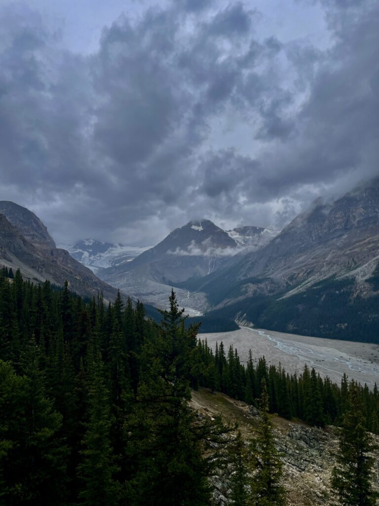 Alpine valley with coniferous forest, glacial river, and snow-capped peaks beneath stormy clouds