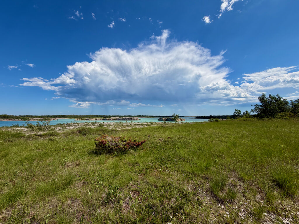 Grassy meadow with turquoise water and islands visible across a bay under a bright blue sky with white clouds