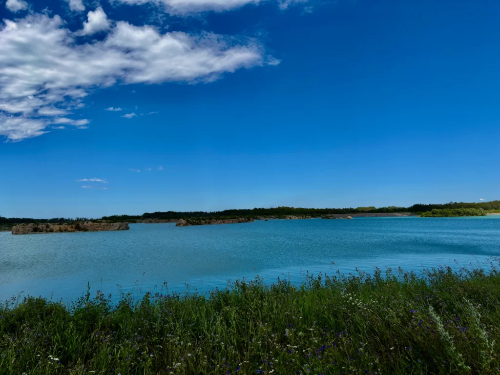 Turquoise lake with rocky outcrops and forested shoreline under clear blue sky, wildflowers in foreground