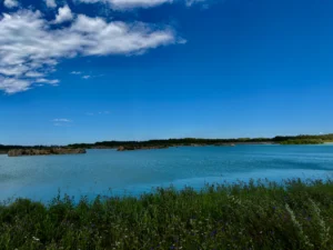 Turquoise lake with rocky outcrops and forested shoreline under clear blue sky, wildflowers in foreground