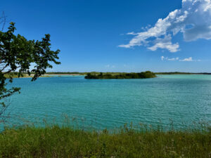 Turquoise lagoon with mangrove-covered islands under a blue sky with white clouds, viewed from a grassy shoreline