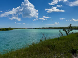 Turquoise lagoon with mangrove shoreline, green marsh grasses in foreground, and clear blue sky with white clouds