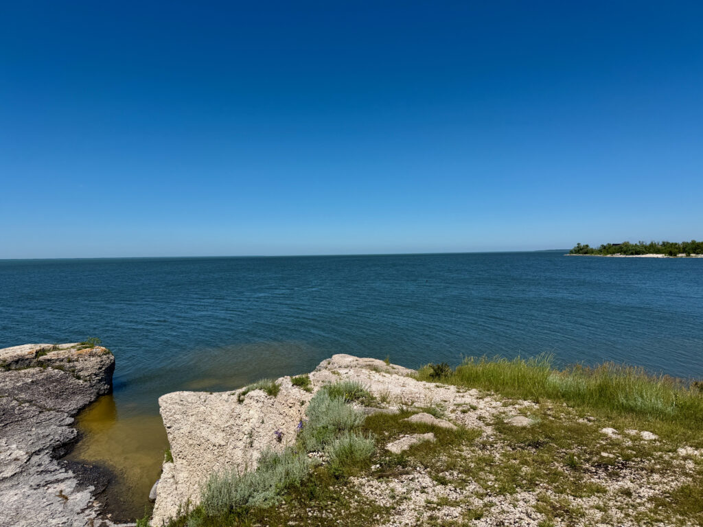 Rocky shoreline with limestone outcrops and native grasses overlooking calm blue water under clear sky, with distant forested coastline visible on the horizon