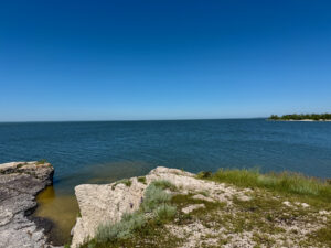 Rocky shoreline with limestone outcrops and native grasses overlooking calm blue water under clear sky, with distant forested coastline visible on the horizon