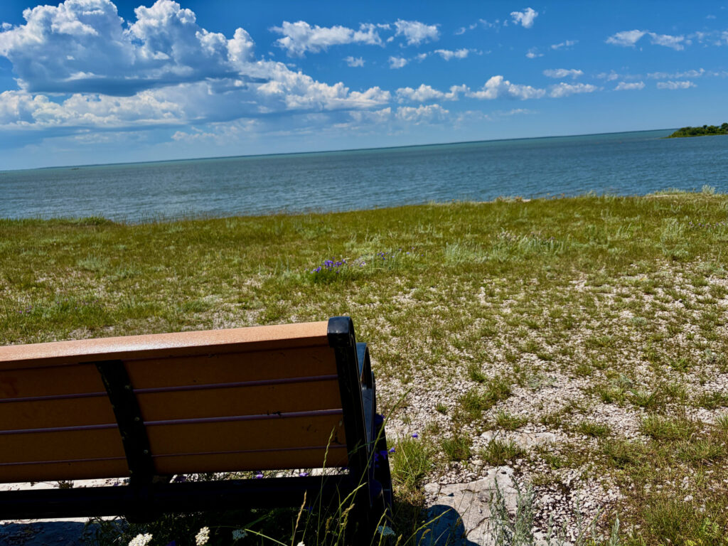Wooden bench on a rocky beach overlooking calm blue water under a partly cloudy sky, with wildflowers and grasses in the foreground