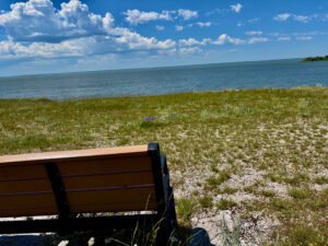Wooden bench on a rocky beach overlooking calm blue water under a partly cloudy sky, with wildflowers and grasses in the foreground