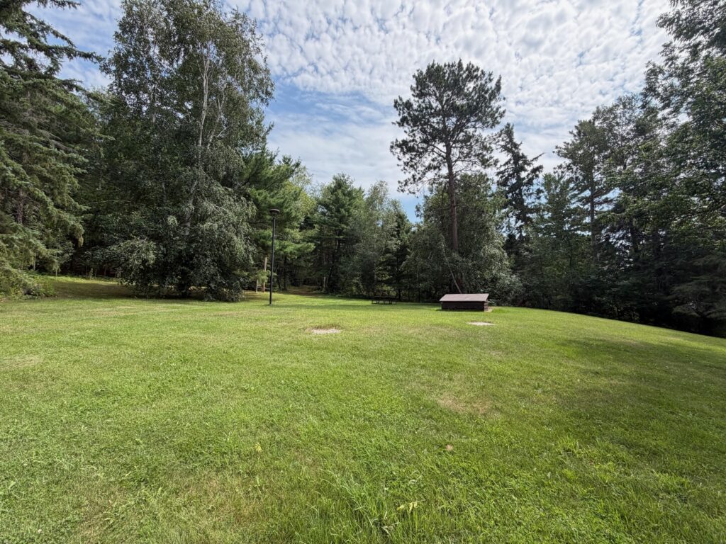 Open grassy park area surrounded by mixed forest with a picnic table and lamp post on a cloudy summer day