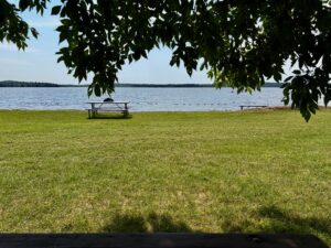Picnic table on a grassy lakeside beach with tree branches framing the view and a forested shoreline across the water