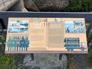 Interpretive sign describing the history of logging and fishing at Nestor Falls, with sections on logs and lures, fish species, and the region's development from settlement to modern tourism destination