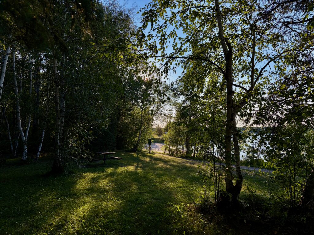 Wooded riverside clearing with picnic table, birch and evergreen trees framing a view of calm water in the distance under blue sky