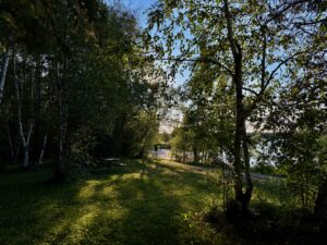Wooded riverside clearing with picnic table, birch and evergreen trees framing a view of calm water in the distance under blue sky