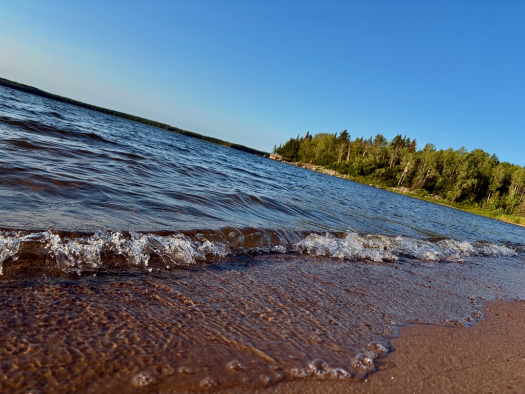Waves rolling onto a sandy beach with a forested shoreline under clear blue sky
