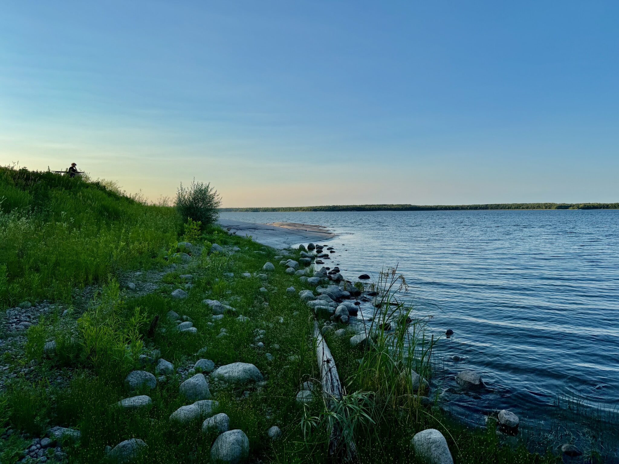 Person sitting on grassy shoreline overlooking calm blue lake with rocky beach and forested far shore under clear sky