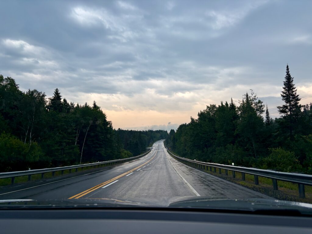 Straight highway stretching into the distance, lined with coniferous and deciduous trees under a cloudy sky, photographed from inside a vehicle