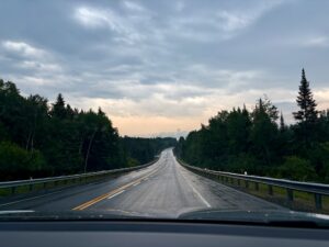 Straight highway stretching into the distance, lined with coniferous and deciduous trees under a cloudy sky, photographed from inside a vehicle