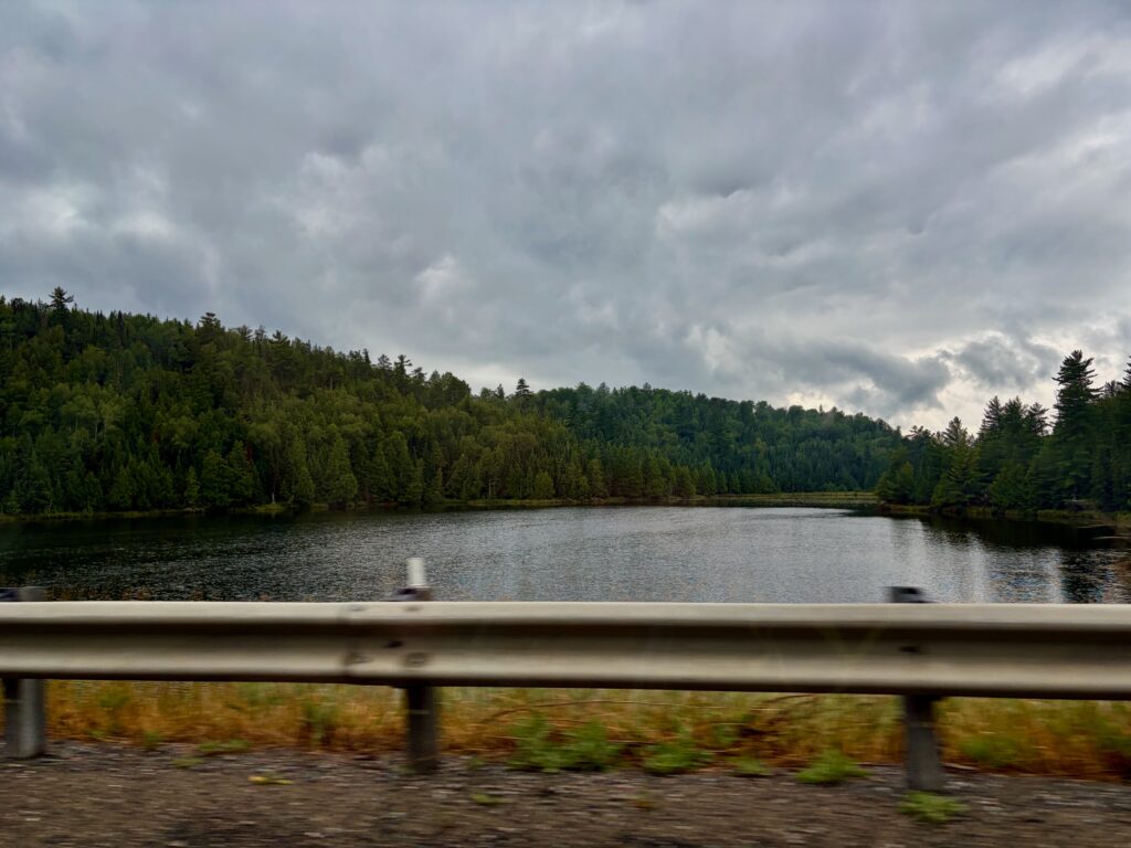 Lake bordered by dense coniferous forest under overcast sky, viewed from a bridge or roadside railing