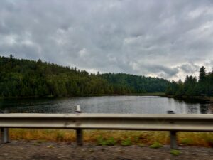 Lake bordered by dense coniferous forest under overcast sky, viewed from a bridge or roadside railing