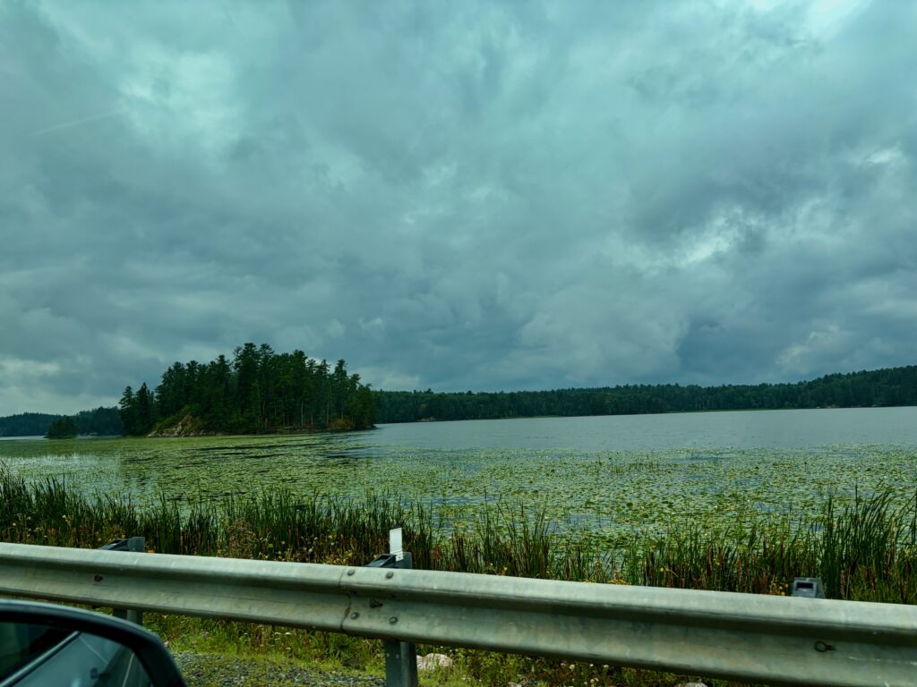 Calm lake with coniferous forest shoreline under overcast sky, viewed from behind a metal railing