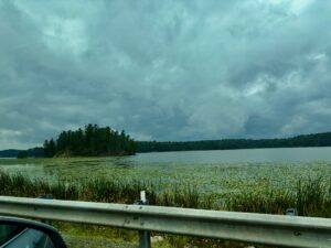Calm lake with coniferous forest shoreline under overcast sky, viewed from behind a metal railing