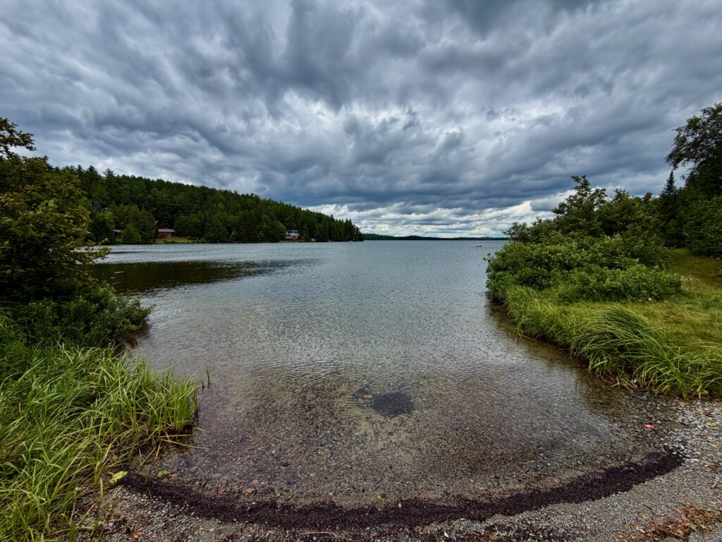 A lake bordered by dense evergreen forest under dramatic grey and white clouds, with marshy vegetation along the shoreline and small cottages visible across the water
