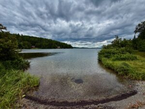 A lake bordered by dense evergreen forest under dramatic grey and white clouds, with marshy vegetation along the shoreline and small cottages visible across the water