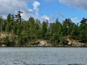 Boreal forest shoreline with coniferous trees, rocky outcrops, and a calm lake under partly cloudy skies