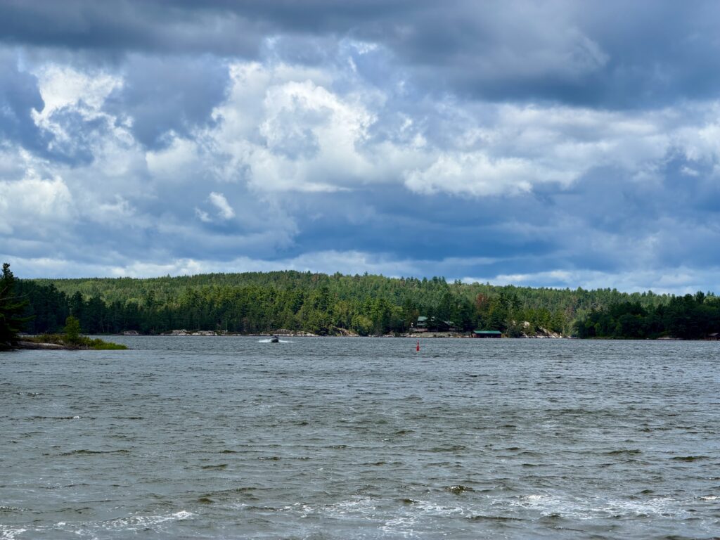 Lake shoreline with dense evergreen forest and cottages under a cloudy sky