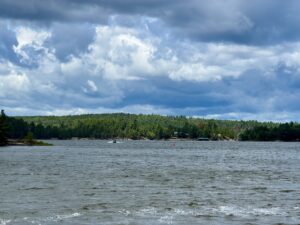 Lake shoreline with dense evergreen forest and cottages under a cloudy sky