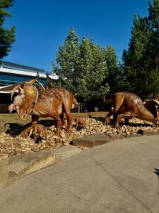 Bronze sculptures of three goats on a bed of stones in an outdoor plaza, with modern buildings and tall trees in the background under a clear blue sky