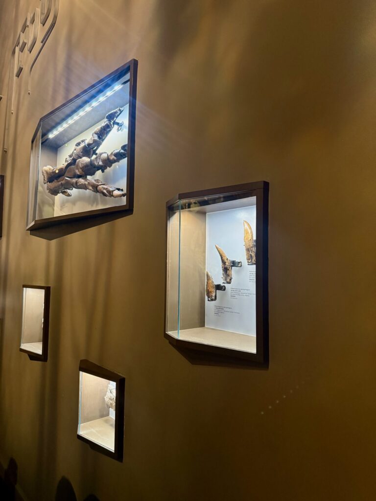 Museum display wall with multiple illuminated glass cases showcasing archaeological artifacts including bronze figurines and ceremonial objects against a tan-coloured wall