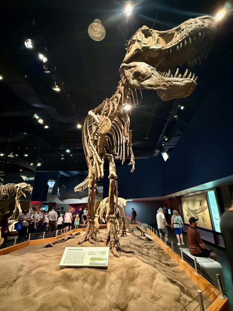 Towering Tyrannosaurus rex skeleton displayed in a museum exhibition hall, with visitors viewing the dinosaur fossil from an elevated walkway, informational placard at base, and additional fossil displays visible in the background