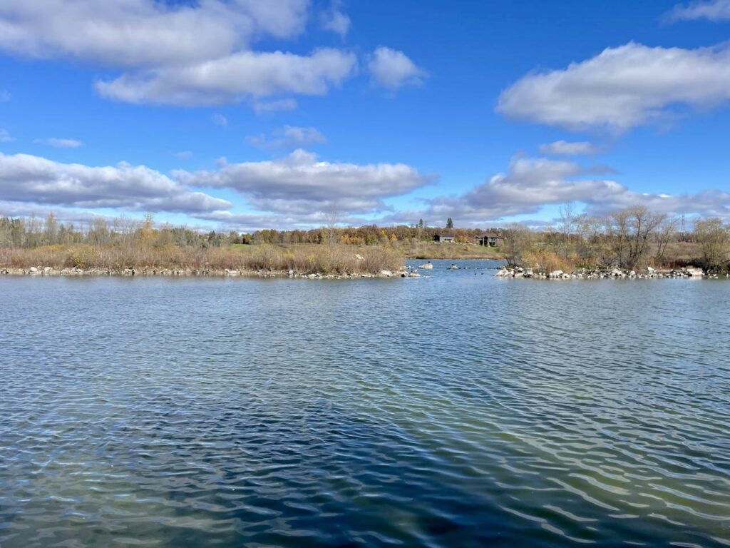 Wide river with calm blue-green water, rocky shoreline lined with bare trees and evergreens, scattered houses visible in the distance, and blue sky with white clouds